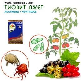 ТиовитДжет2