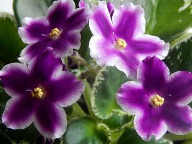 ТочныйУдар3