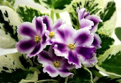 ТочныйУдар4