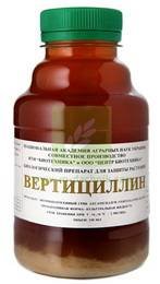 Вертициллин1