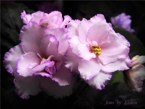 ВесенняяАкварель1