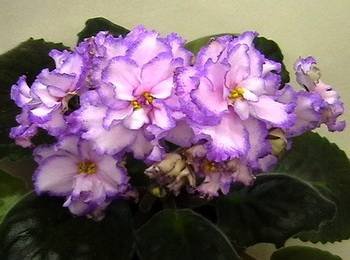 ВесенняяАкварель2