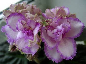 ВесенняяАкварель3