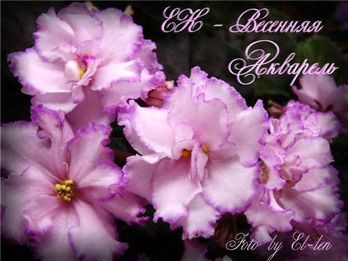 ВесенняяАкварель5