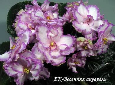 ВесенняяАкварель7