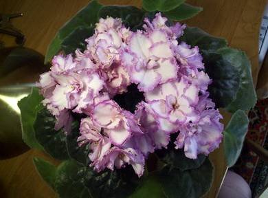 ВесенняяАкварель8