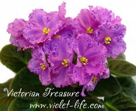 VictorianTreasure1