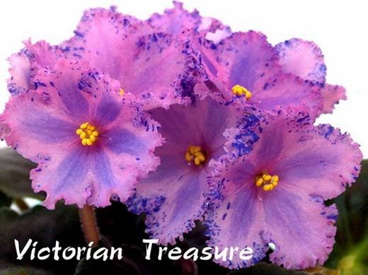 VictorianTreasure6
