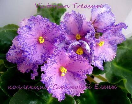 VictorianTreasure7