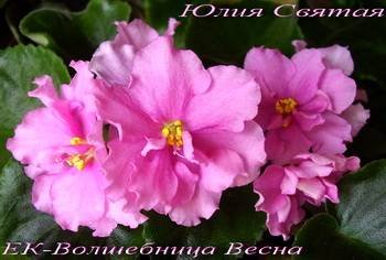 ВолшебницаВесна2