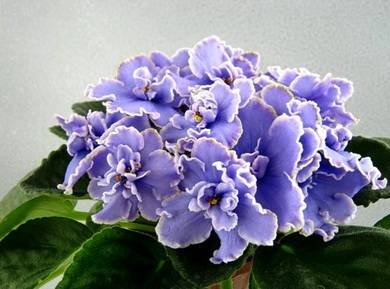 ЗеркалоДуши7