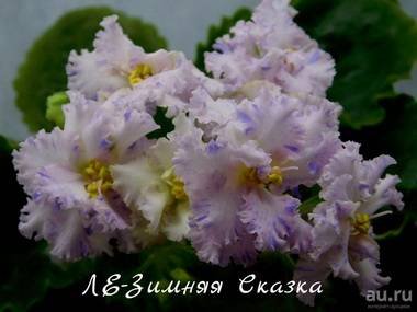 ЗимняяСказкаЛЕ4
