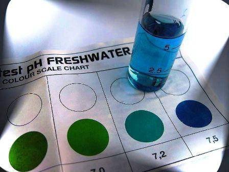pH